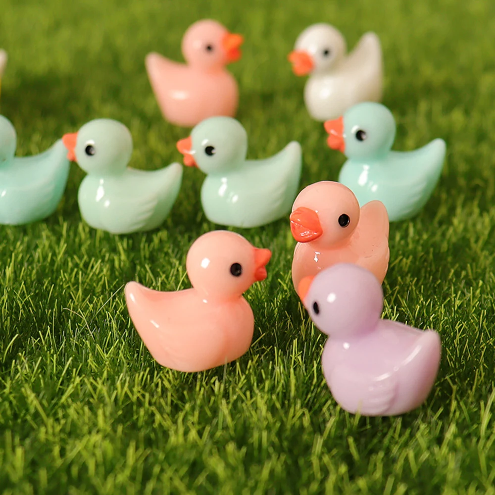 Eenden Fairy Garden Accessoire - Home Decor Ikea recensie en prijs